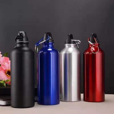 주문 750mL 물병 카라바이너 휴대용 알루미늄 물병 누출 방지 물병 하이킹 여행 야외 스포츠 체육관 피트니스 online manufacture